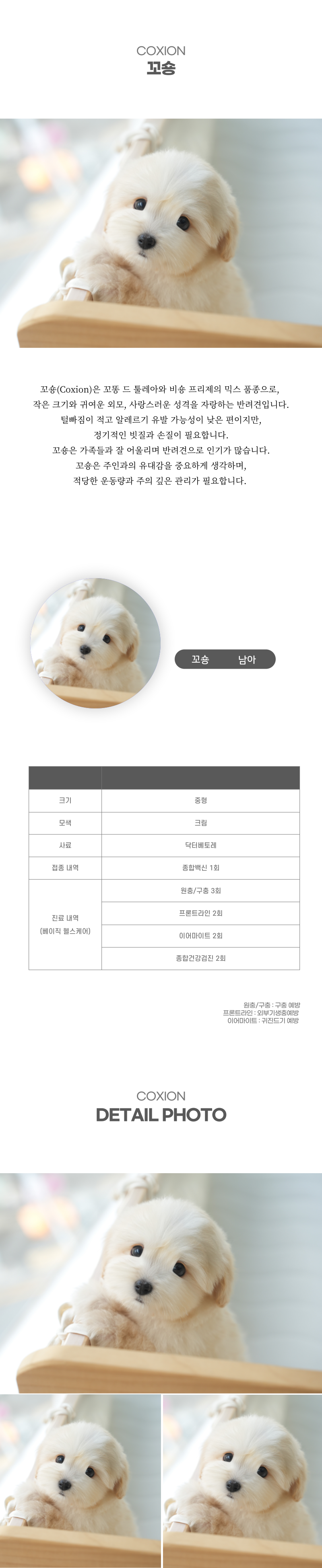 꼬숑_상세이미지_2